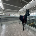 a horse in a room with a plane in the background