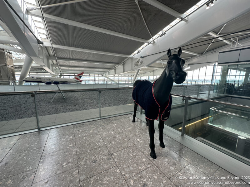 a horse wearing a blanket in a building