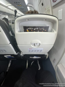 a person's legs in an airplane seat