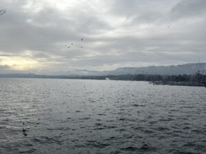 a body of water with a dock and birds flying in the sky