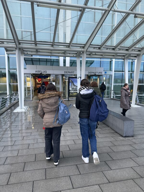 Europort Basel-Mullhouse-Frieburg Airport - entrance