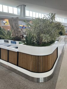 a planter with plants in a building