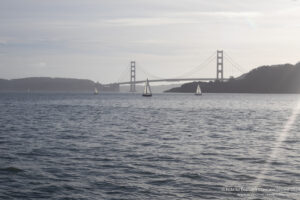 a sailboats on the water