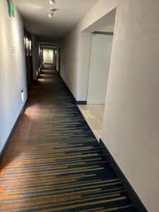 a hallway with doors and a carpeted floor