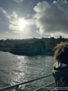 a person standing on a railing overlooking a body of water