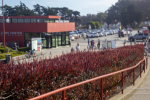 a red bushes in front of a building