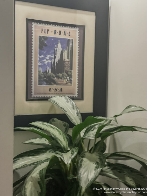 a plant in a pot with a picture on the wall