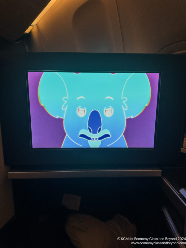 a screen with a cartoon of a koala