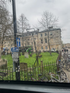 a group of bicycles parked in a grassy area