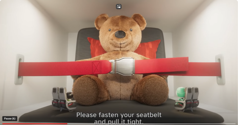 a stuffed bear sitting in a seat belt