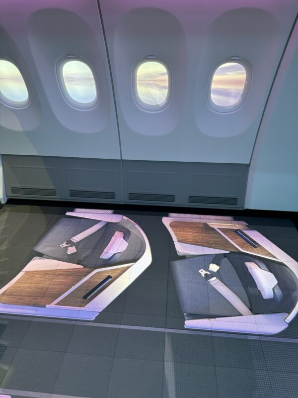 a carpet on the floor of an airplane