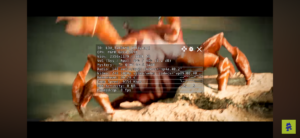 a screenshot of a computer