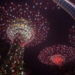 a group of trees with red lights