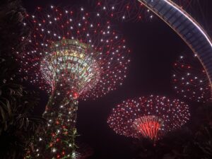 a group of trees with red lights