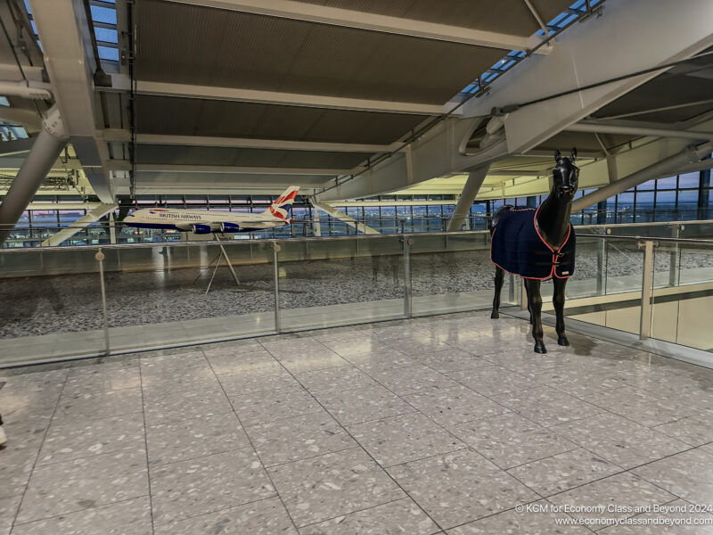 a horse in a room with a plane in the background