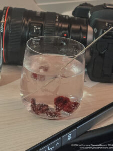 a glass of liquid with ice and a stick in it