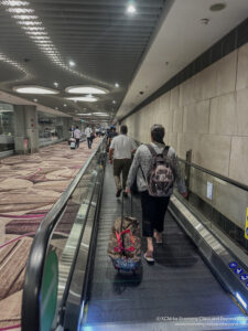 people walking on an escalator