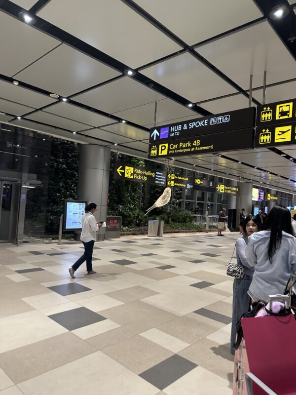 people in a large airport