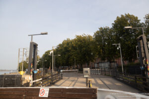 a bridge with trees and a street light