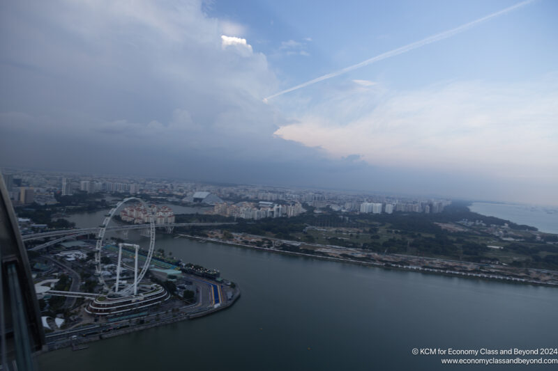 a large city with a ferris wheel and a body of water