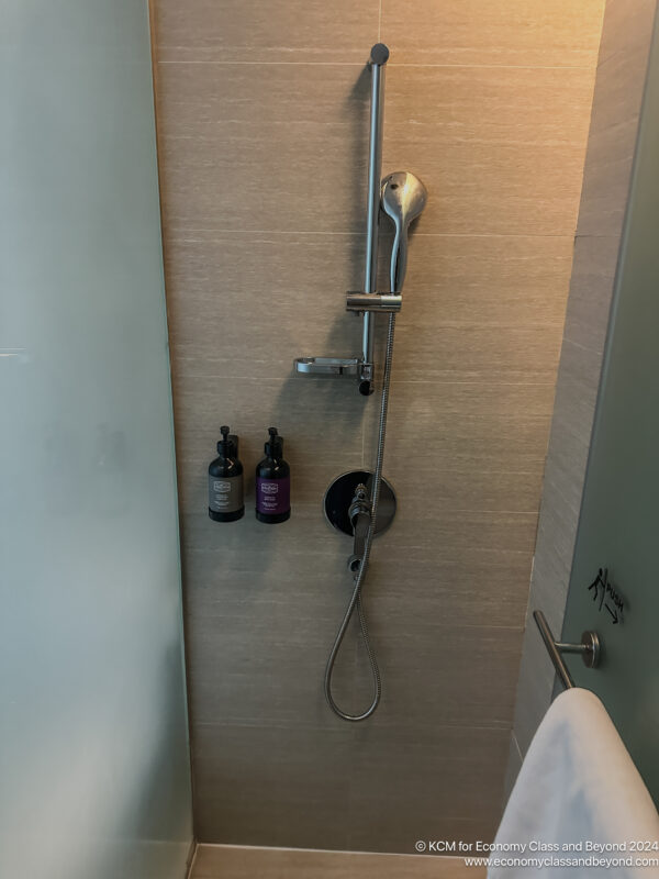 a shower head and shower head in a bathroom