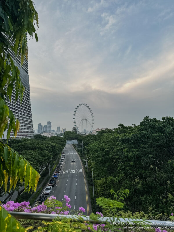 a road with trees and a ferris wheel in the background