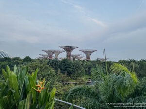 a group of trees with metal structures in the background