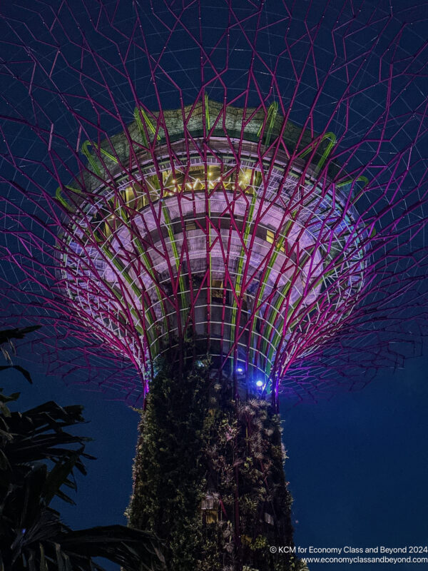 a tall building with purple and green branches