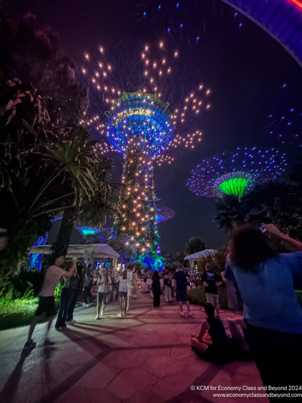 a group of people walking on a path with trees and lights