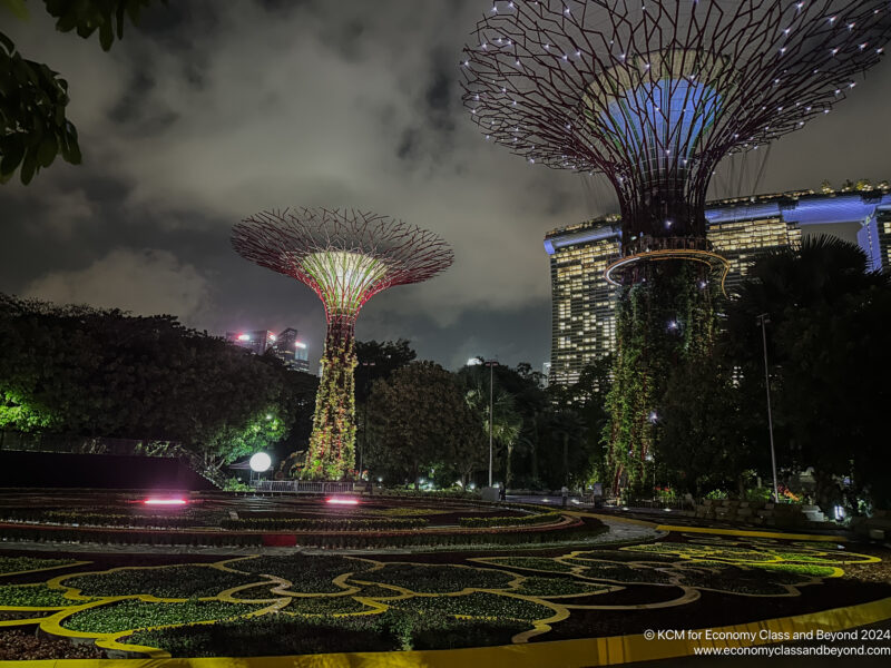 a large trees with lights at night