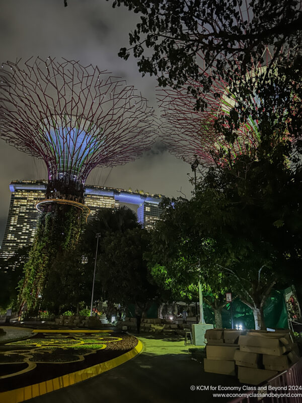 a park with trees and buildings at night