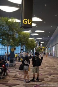 people in a terminal