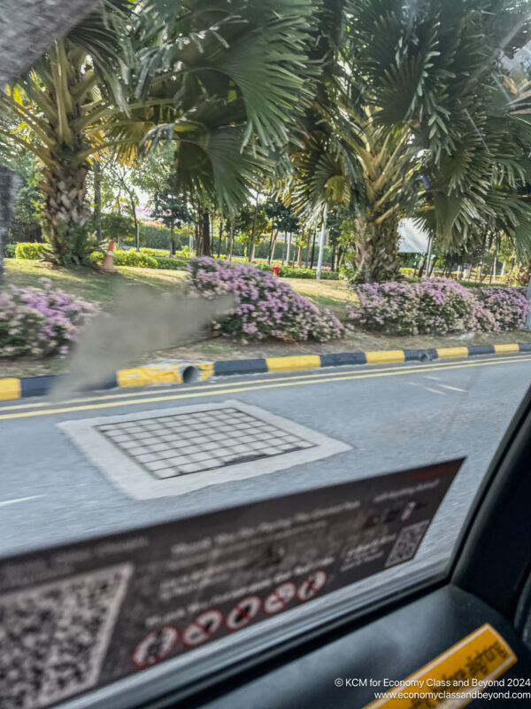 a view from a car window of a road with trees and bushes