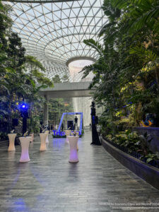 a glass ceiling with plants and tables