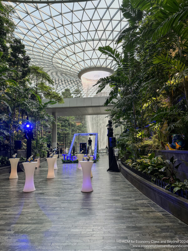 a glass ceiling with plants and tables