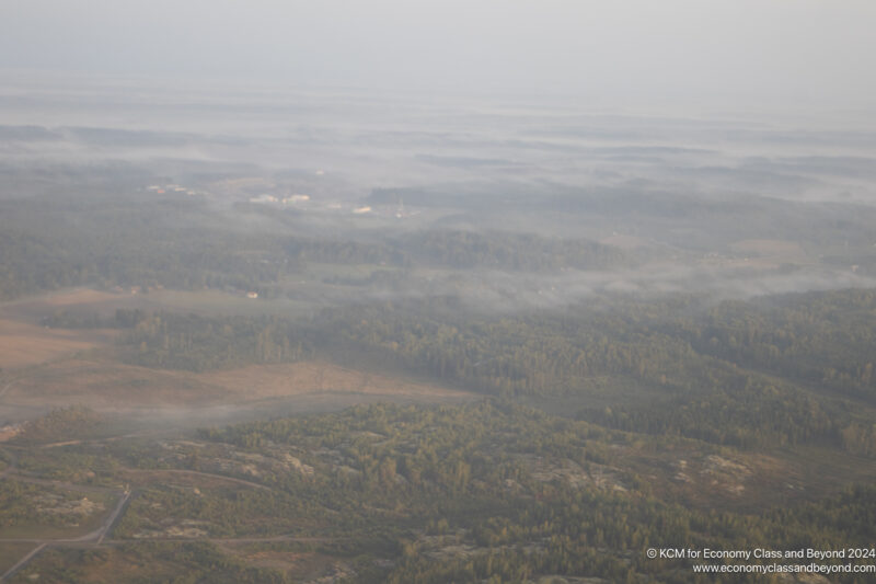 aerial view of a forest and fog