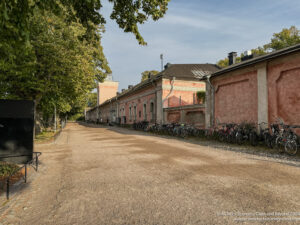 a road with a row of buildings and trees