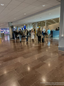 people walking in a terminal