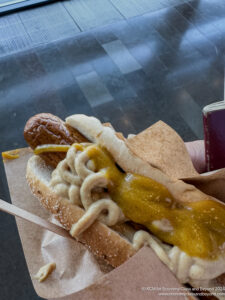 a hot dog with mustard on it