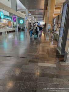 people walking in a large airport