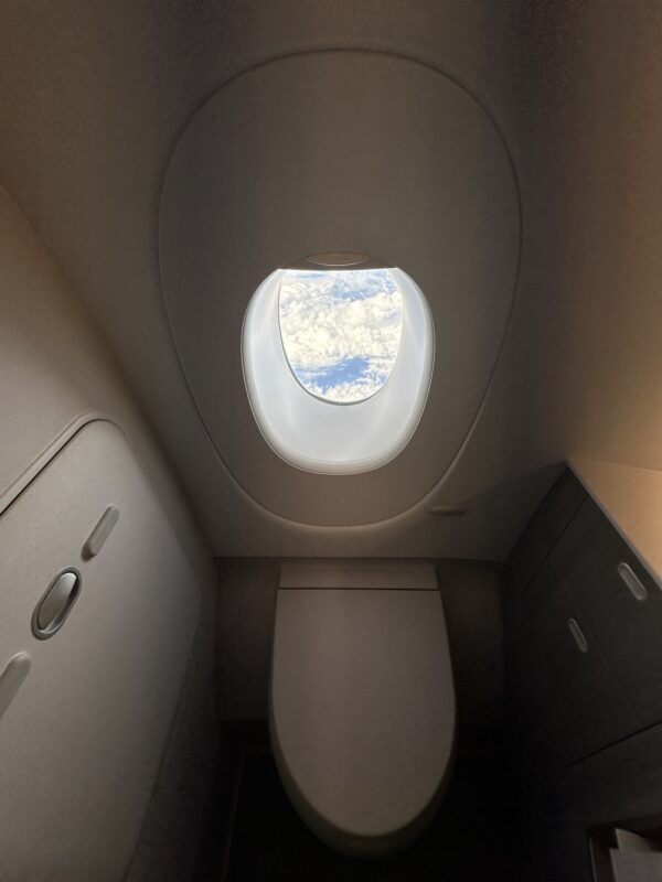 a toilet and a window in a plane