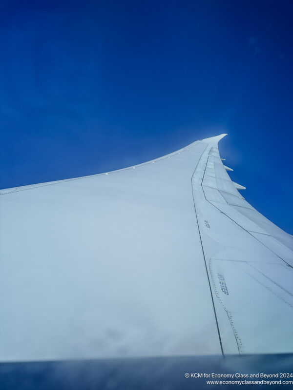 a wing of a plane