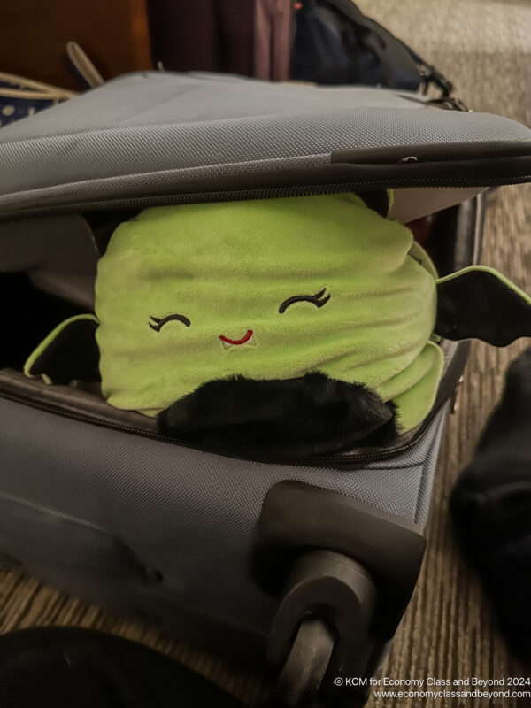 a stuffed toy in a suitcase