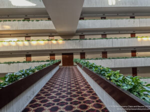 a hallway with plants in it