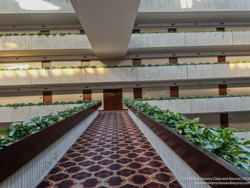 a hallway with plants in it