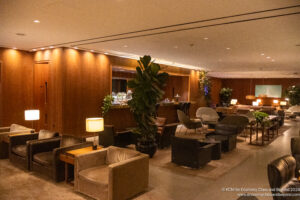 a room with a large plant and chairs