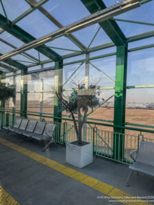 a plant in a white pot next to benches