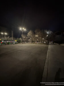 a street lights and trees at night