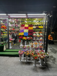 a flower shop with many flowers