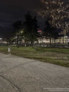 a sidewalk and trees at night
